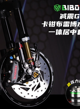 适用九号小牛极核居中水鸟组合套装比博士GS9GS8pro VDV V4/V5/V7