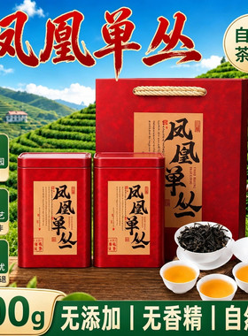 潮州特产鸭屎香凤凰单丛茶送礼