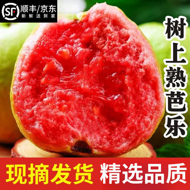 福建红心芭乐番石榴新鲜水果当季香甜软糯整箱现摘漳州