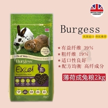 【2021.1】英国burgess布格斯薄荷1