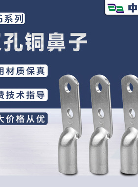 DTGS双孔管压铜鼻子 双孔镀锡铜鼻 双眼线鼻 双孔铜端子 接线头