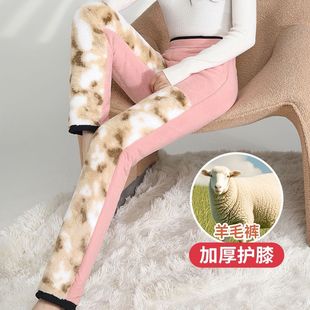 收腹裤 冬季 东北保暖抗寒修身 女外穿加绒防冻高腰棉裤 子 加厚打底裤