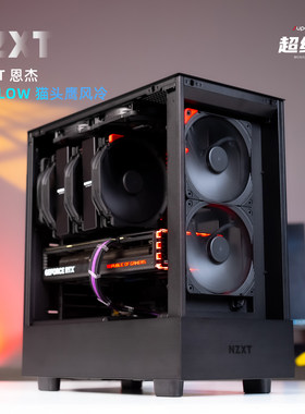 恩杰 H5 FLOW老款  猫头鹰 风冷定制主机