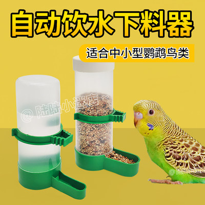 喂食器饮水器自动防溅鹦鹉