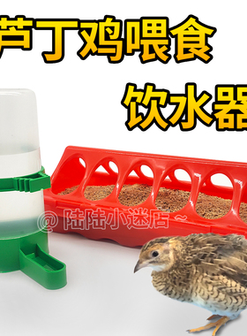 芦丁鸡喂食器食槽鹌鹑雏鸡自动饮水器喝水壶鹦鹉食盒饲料盒喂水器