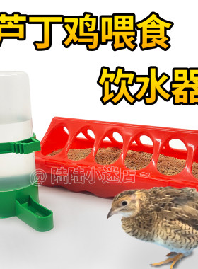 陆陆芦丁鸡喂食器饮水器