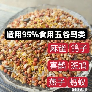 通用鸟粮鸟食鹦鹉鸟粮斑鸠麻雀喜鹊鸟饲料小型鸟食五色黍子混合粮