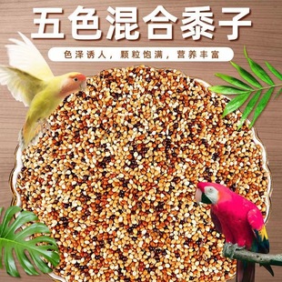 鹦鹉鸟粮饲料七彩文鸟金丝雀珍珠鸟芙蓉鸟五色黍子小麦混合通用粮