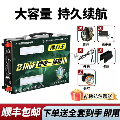 2026款99V锂电大功率逆变一体机