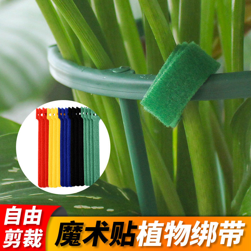 绿植园艺扎线扎带自粘植物绑带绿色爬藤植物捆绑固定魔术贴绑花器,农用物资,园林移栽起吊网,淘宝优惠券,粉丝福利购,淘宝优惠卷