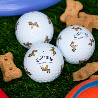 Callaway高尔夫球四层印花