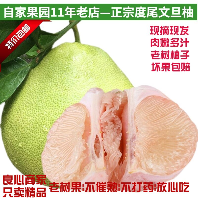 正宗仙游度尾文旦柚10斤装