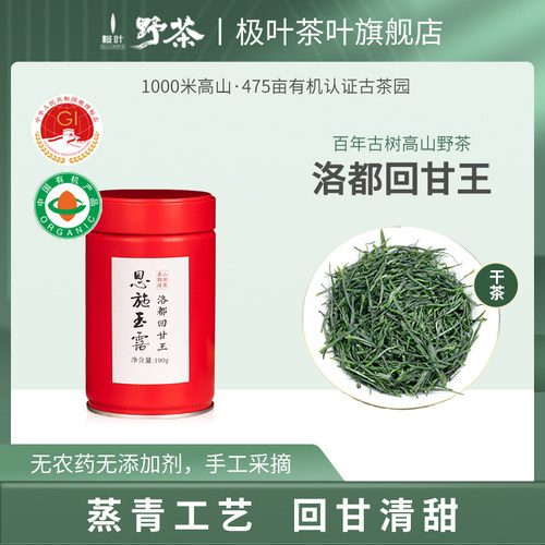 极叶2026有机明前特级恩施玉露绿茶高山野放云雾毛尖芽茶罐装100g