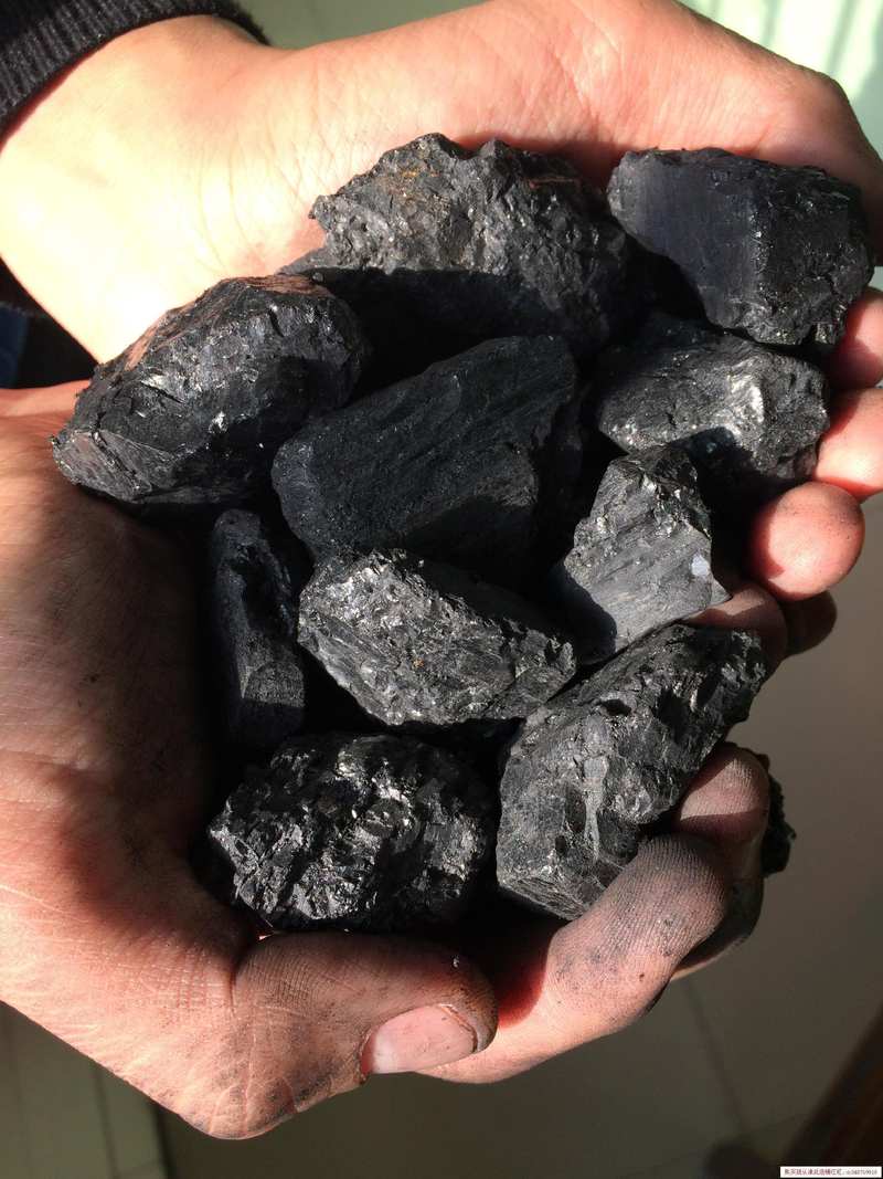 焦煤煤碳无烟煤不结烧烤木炭斤装大块碳木炭60净化烤肉架碳烤煤炭