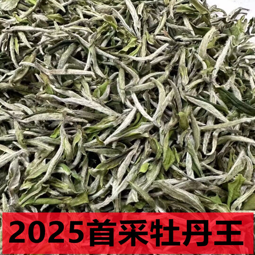 2025年首采福鼎白茶白牡丹一级