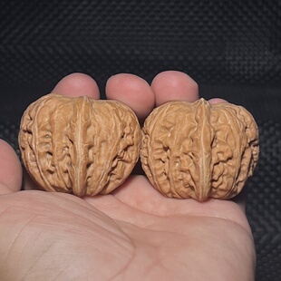 平谷元宝45尺50克老树果实物实拍一物一图文玩核桃金锭元宝