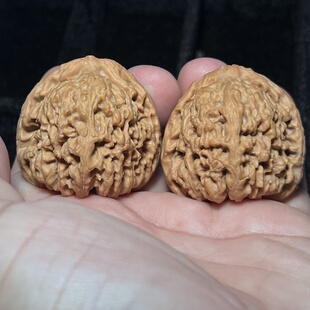 南疆石三角疆全品主筋正41/40/40全品文玩核桃一物一图南将石