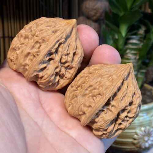 C6老树鸡心高桩42大尺一字底文玩核桃一五一图透红皮色油性十足