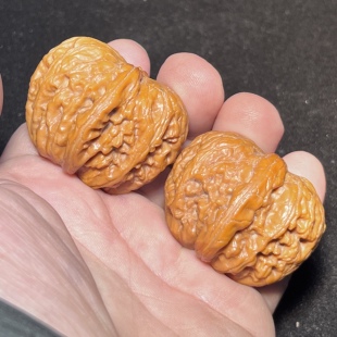 平谷元宝已经打底42尺金锭子粗筋爆肉双翘头老树红皮文玩核桃