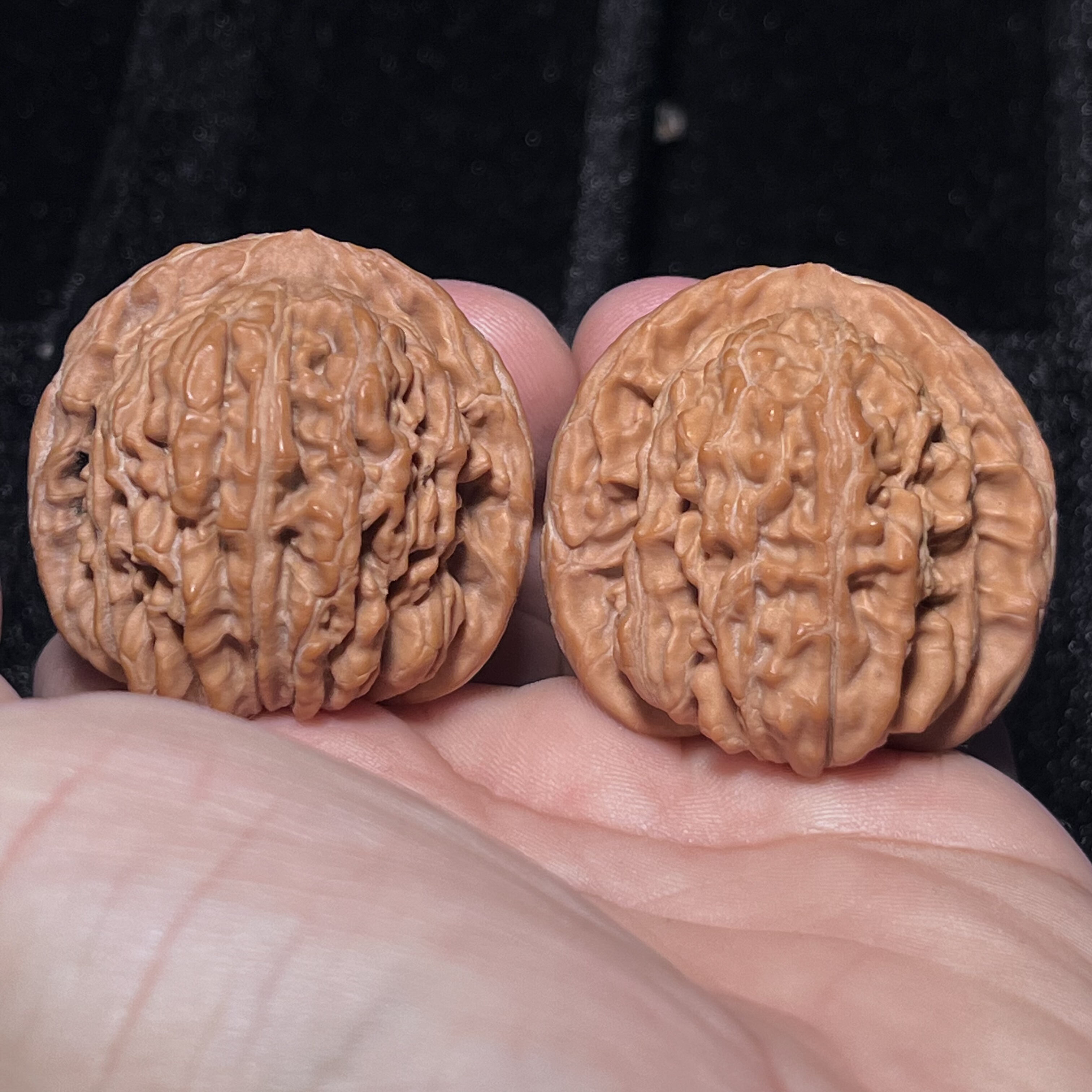 四座楼狮子头全品文玩核桃一物一图骨质硬40/38/37老树红皮流水纹