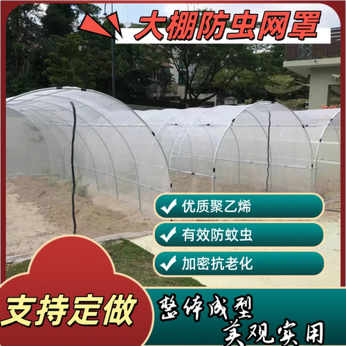 防虫棚纱网罩整体网罩支持定做