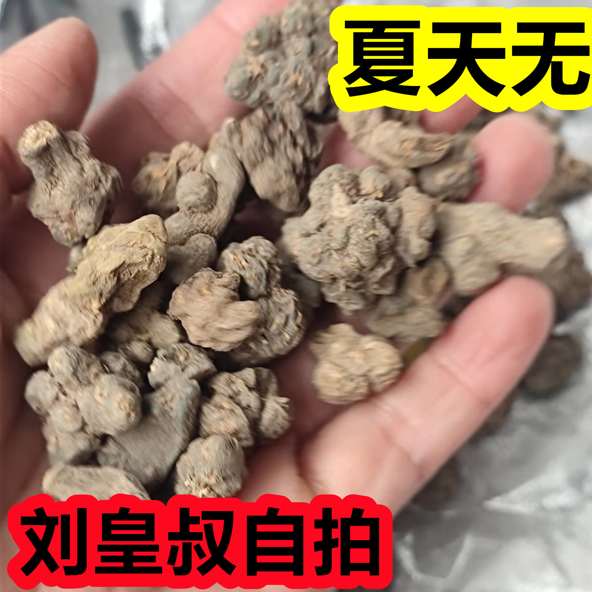 新货夏天无中草药500g夏天无药材正品 野生夏天无 夏天无中药材