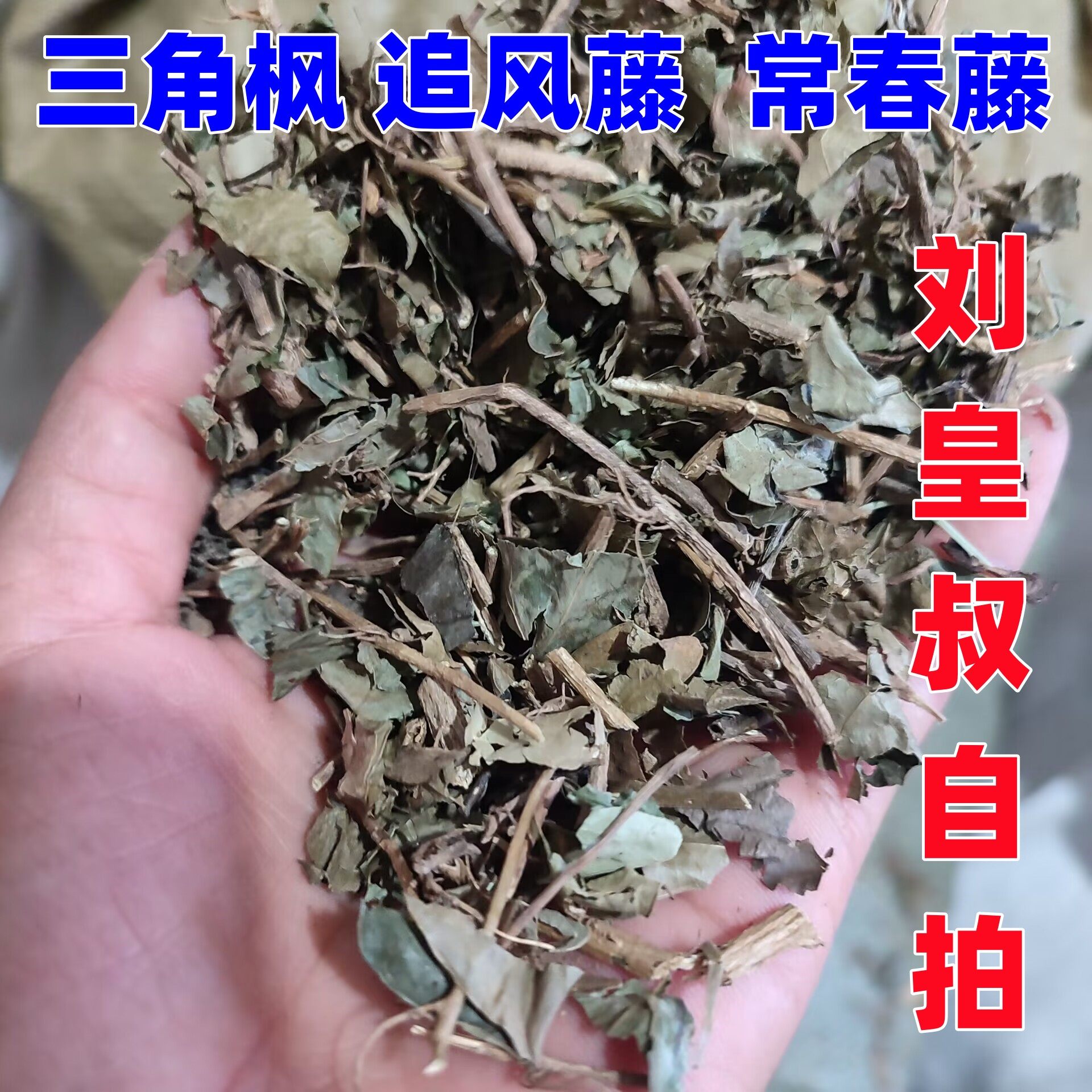 常春藤中国三角枫农产品新品干品
