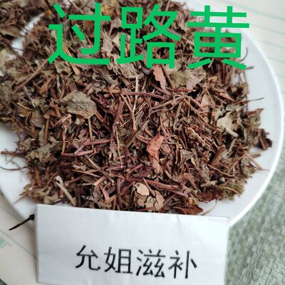 小过路黄中药材风寒草