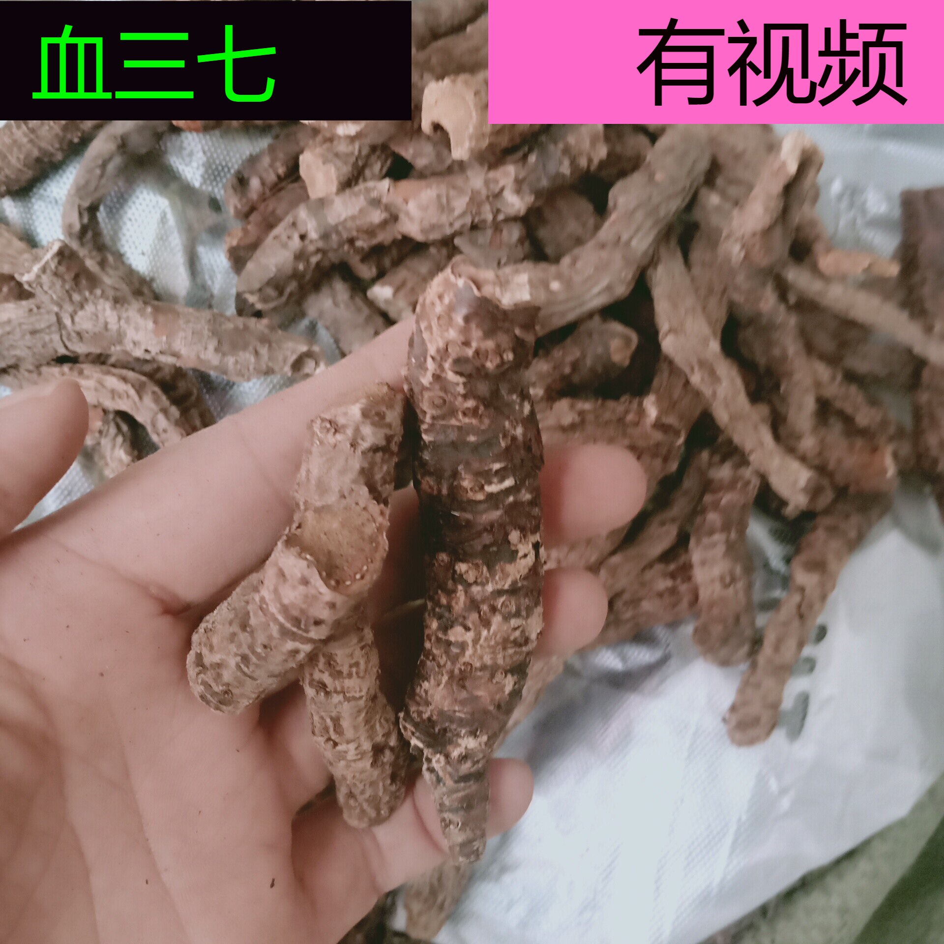 500g血三七云南正品野生中药材跌打损伤疼痛泡酒料药酒料 配血竭