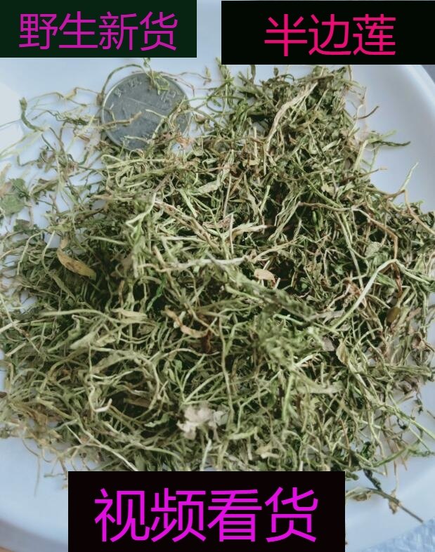 中药材半边莲包邮 野生新鲜干货500g半边连 细米草 瓜仁草 急解索