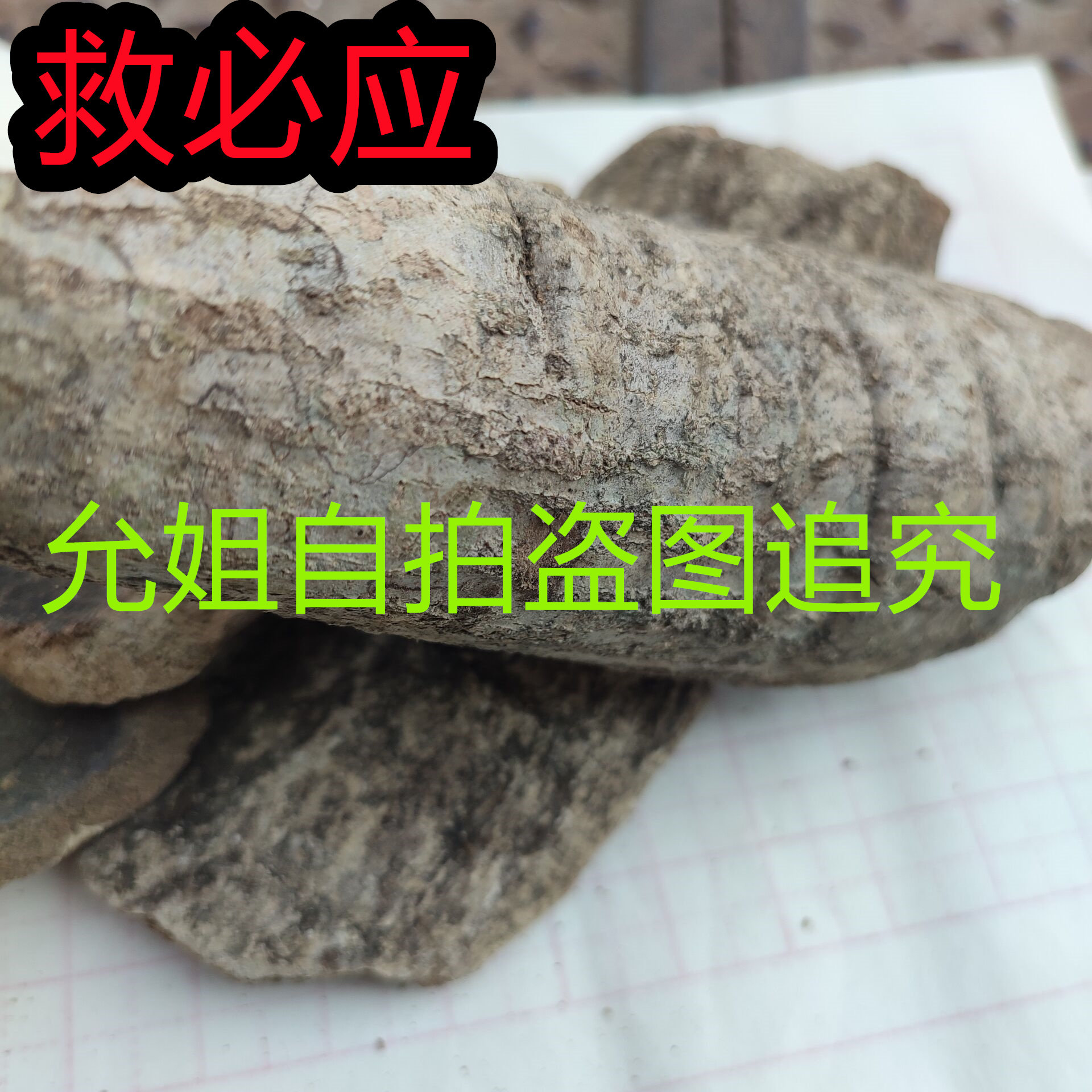 救必应 求必应 厚救必应白木香羊不吃九层皮500g克实物冷货