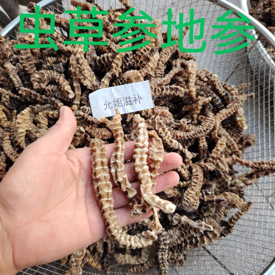 虫草参干云南地参500g地虫草竹节参泽兰根地龙菜煲汤料