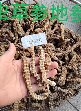 虫草参干中药材云南地参500g地虫草竹节参泽兰根无硫地龙菜煲汤料