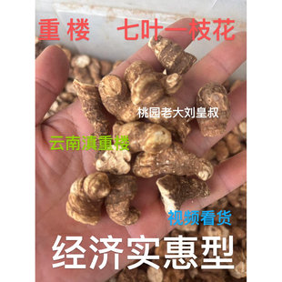 云南滇重楼七叶一枝花泡酒蚤休草独角莲可切片打粉新货干品小个子