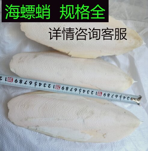 墨鱼骨海螵蛸中药材
