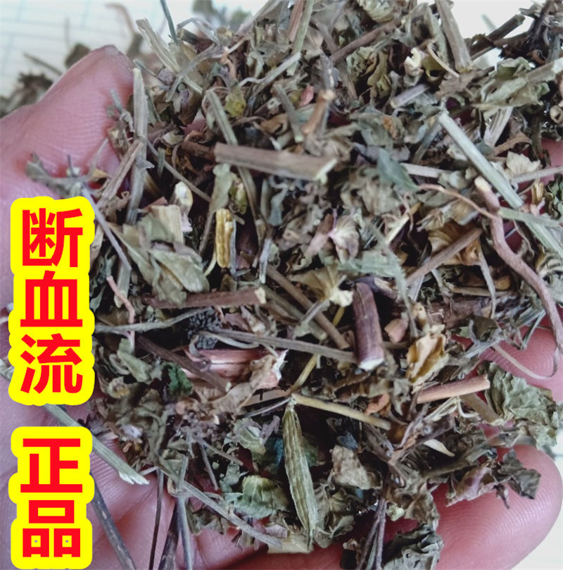 野生正品 断血流 灯笼草山藿香走马灯笼草断雪流 500克实物新品干