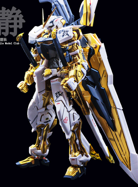 高达模型日本万代MG白金异端红异端改配色骨架全喷涂拼装模型6601