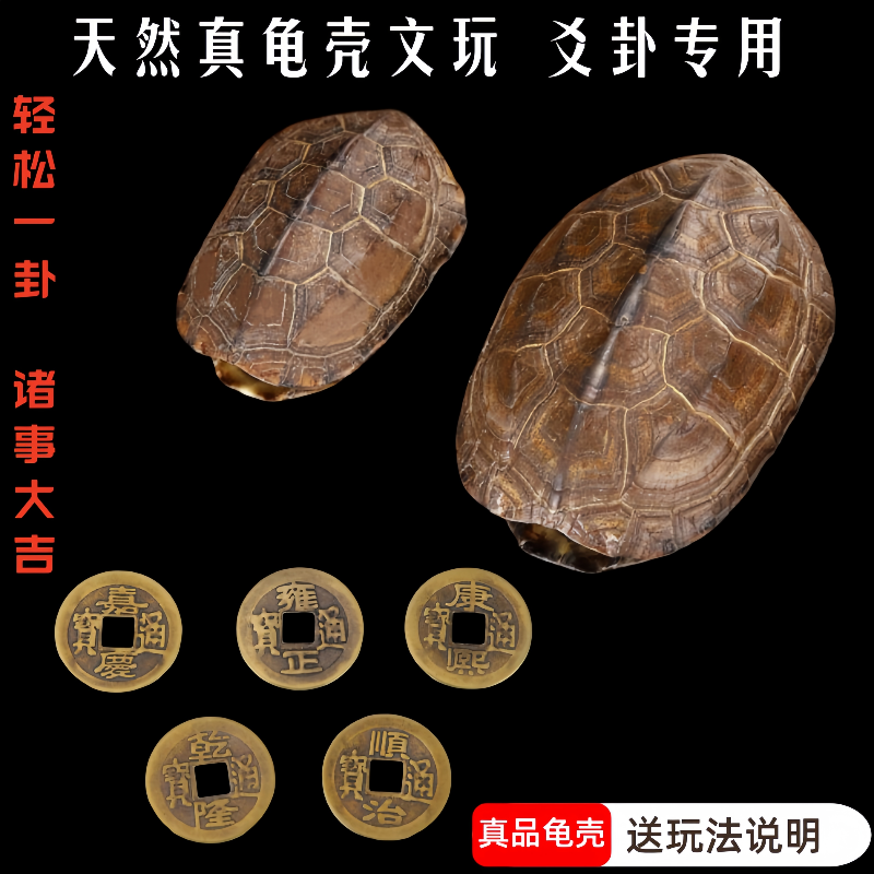 天然龟壳爻卦文玩天然完整铜龟甲