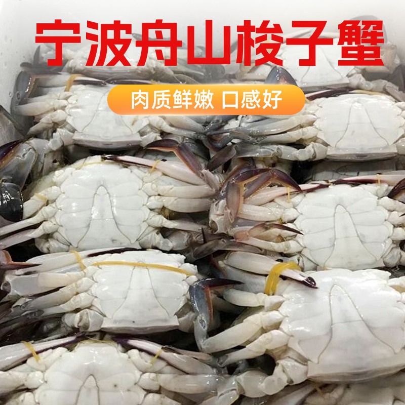 宁波舟山特产新鲜冷冻梭子蟹1kg