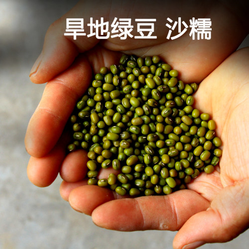 明绿豆农家老品种笨绿豆易煮出沙可生豆芽1斤