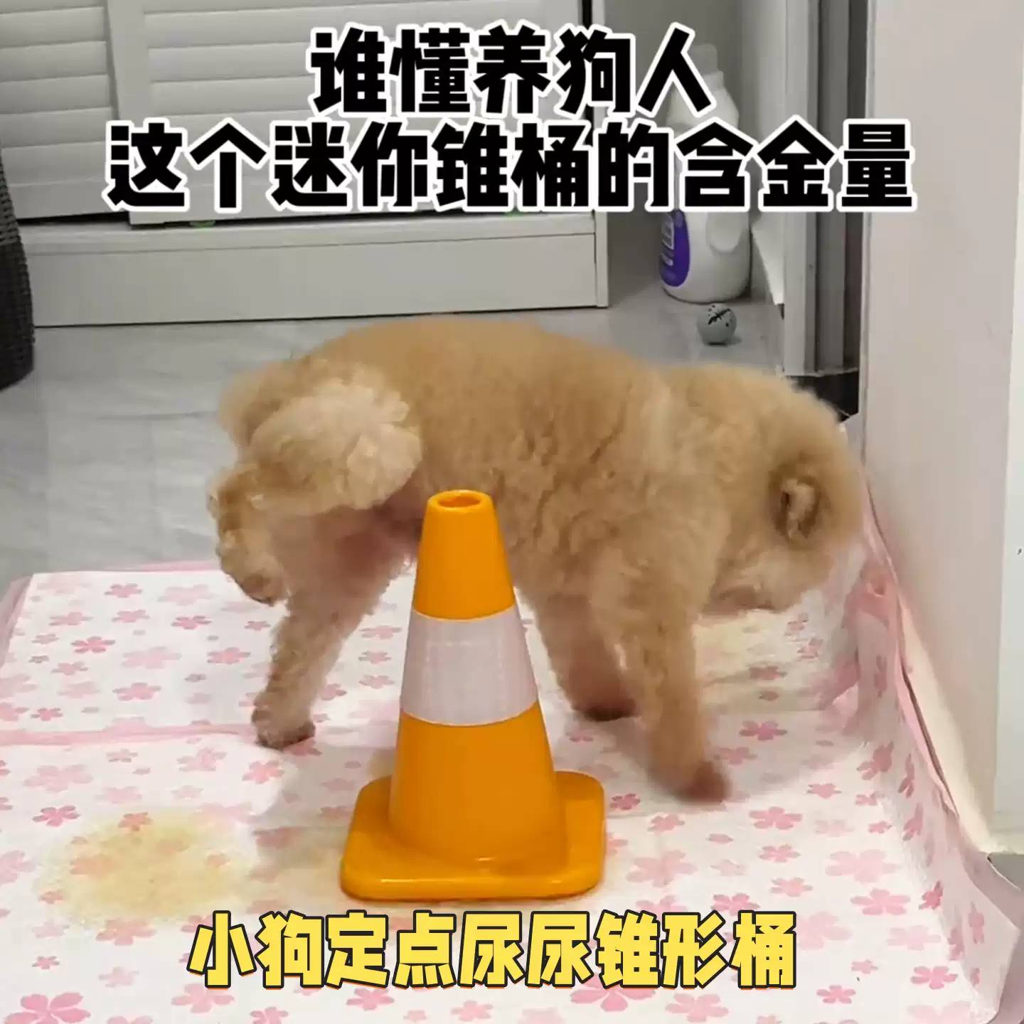 狗狗尿尿立柱公狗定点厕所擡腿