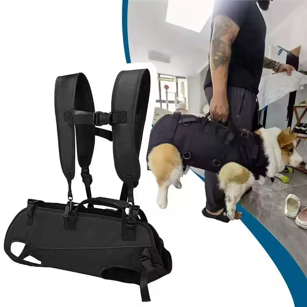 狗狗双肩背包中大型犬背狗神器