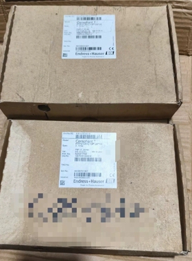 恩德斯豪斯PTP31-A1C13P1AF1A压力变送器， ~议价