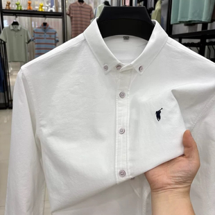保罗100%纯棉男士衬衫春季新款牛津纺磨毛休闲长袖衬衣小马标