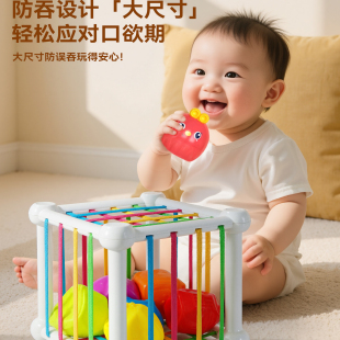 大号塞塞乐6个月以上婴儿0到1岁益智早教7八九幼儿宝宝玩具可啃咬