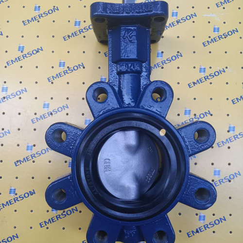 Keystone蝶阀GR-0100W0M10016-D1S00S2N000IB+HS-04