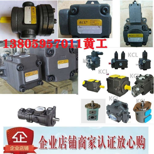 台湾凯嘉KCL叶片泵KT6DS-038-1R00 042 045 050 061