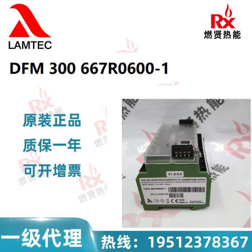 德国蓝姆泰克LAMTEC超低氮燃烧器DFM300 667R0600-1 现货20个