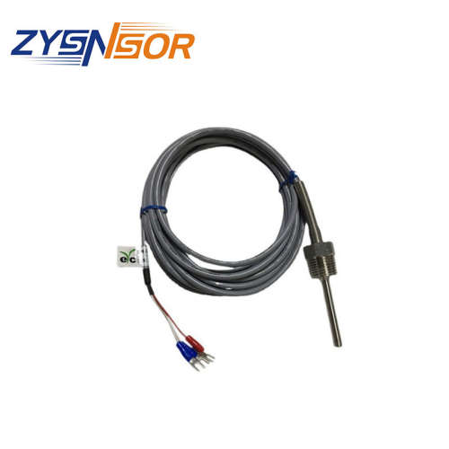 台湾EYC出线式热电阻XR1 PT1-B-6.3-50-1/2-4M-PVC-304