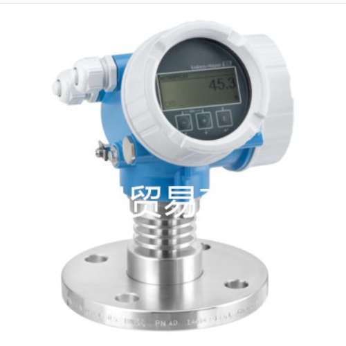 E+H德国电磁流量计Proline 10 D10 W300 W800 W500 P300 H300 H10